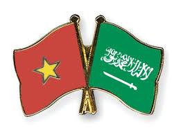 visa Vietnam & Saudi Arabia 