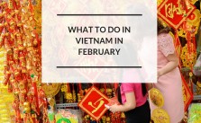 What to do in Vietnam in February - Vietnam visa